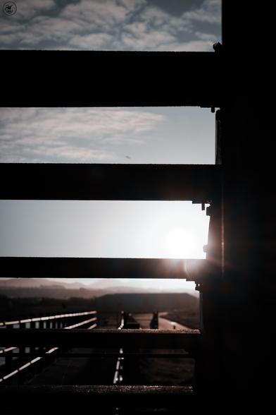Sun shining between silhouette of metal steps
