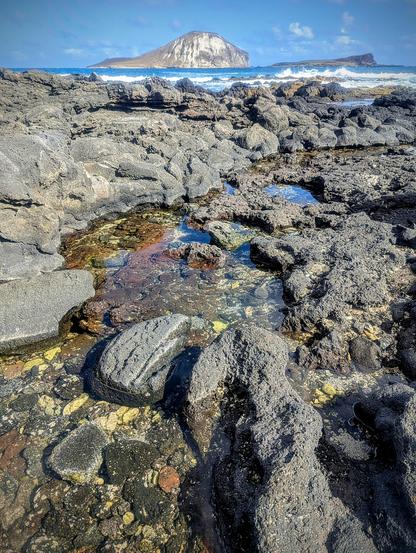 Pools of standing water with amongst gray volcanic rocks with aquatic plants in shades of yellow and red. In the background is the crashing waves and an island in the distance.