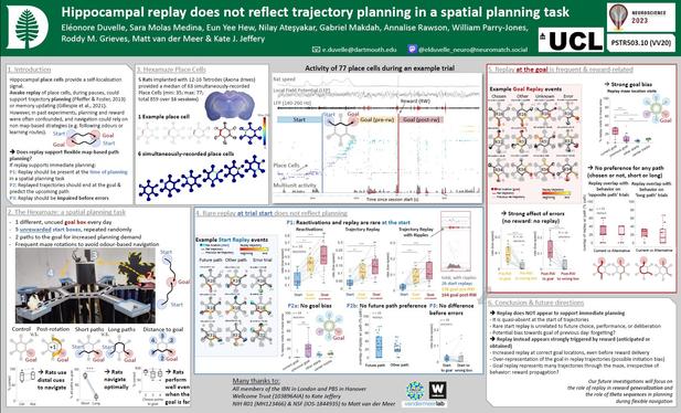 This is a screenshot of my SFN 2023 poster. I pasted some of the text below.

Title: Hippocampal replay does not reflect trajectory planning in a spatial planning task

Panel 1: Introduction
Does replay support flexible map-based path planning?
If replay supports immediate planning:
P1: Replay should be present at the time of planning 
P2: Replayed trajectories should predict the upcoming path
P3: Replay should be impaired before errors

Panel 2: The Hexamaze: a spatial planning task
- 1 different, uncued goal box every day
- 5 unrewarded start boxes, repeated randomly
- 2 paths to the goal for increased planning demand
- Frequent maze rotations to avoid odour-based navigation

Panel 3: Hexamaze place cells
5 Rats implanted with 12-16 Tetrodes (Axona drives) provided a median of 63 simultaneously-recorded Place Cells (min: 35; max: 77;
total 859 over 16 sessions)

Example cell panels: shows the activity of many simultaneously-recorded cells during 1 example trials. You can see many reactivations once the rat reaches the goal, but not in the start box.

Panel 4: Rare replay at trial start does not reflect planning

Panel 5: Replay at the goal is frequent & reward-related

Panel 6. Conclusion & future directions

➔Replay does NOT appear to support immediate planning:

➔Replay instead appears strongly triggered by reward (anticipated or obtained)