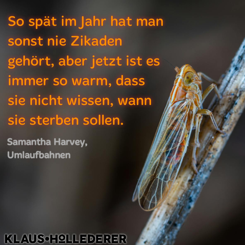 Auf den Foto ist eine Zikaden mit dem Text: So spät im Jahr hat man sonst nie Zikaden gehört, aber jetzt ist es immer so warm, dass sie nicht wissen, wann sie sterben sollen. 
Aus dem Buch "Umlaufbahnen" von Samantha Harvey