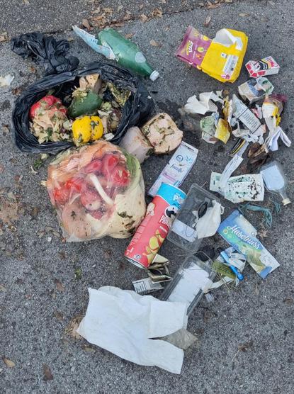 gesammelter Müll liegt auf dem Asphalt. Plastiksäcke mit Gemüse und Fleisch darin, eine leere Schnapsflasche, eine E-Zigarette, die Verpackung eines Schwangerschaftstests und weiterer Verpackungsmüll