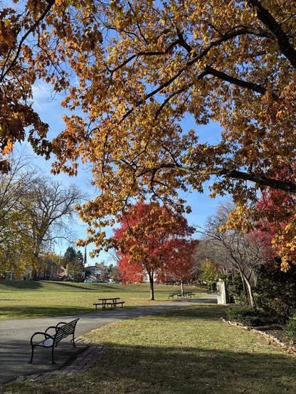 View along a walkway in a city park.  Bench in foreground.  Trees with gold and red leaves.  Grass and sunlight.