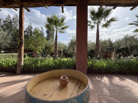 Plants and palm trees, viewed from under a clay red pergola…