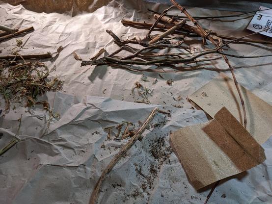 Lots of twigs and sticks, scattered on the floor on some waste paper that we put down to catch the wood shavings. There some sandpaper at one side.