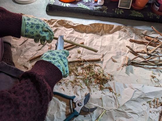 My arms and hands as I strip the bark from the fuchsia stick using a Stanley knife.
