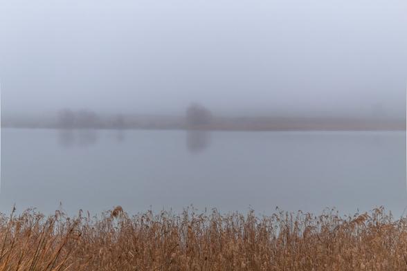 You can see a minimal image that in the foreground there is a river bush and in the background, in the middle, you can see the shadows, between the mist, of some trees.