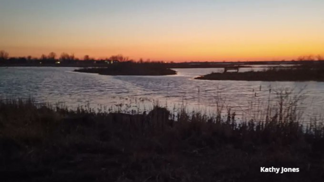 Orange sunset over a darkening marsh, this is Kathy's first station for her annual Great Lakes Marsh Monitoring Program frog surveys.
