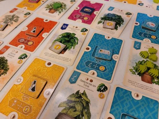 Verdant 2 player complete house
