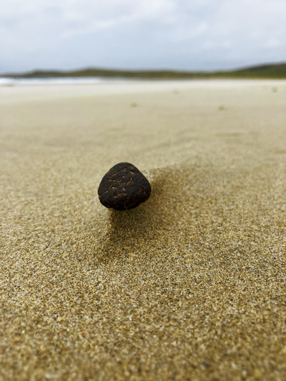 Stone on a beach low down