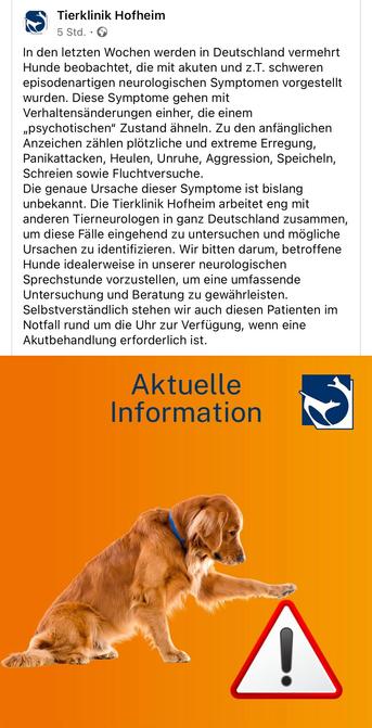 Tierklinik Hofheim

In den letzten Wochen werden in Deutschland vermehrt Hunde beobachtet, die mit akuten und z.T. schweren episodenartigen neurologischen Symptomen vorgestellt wurden. Diese Symptome gehen mit Verhaltensänderungen einher, die einem „psychotischen" Zustand ähneln. Zu den anfänglichen Anzeichen zählen plötzliche und extreme Erregung, Panikattacken, Heulen, Unruhe, Aggression, Speicheln, Schreien sowie Fluchtversuche.
Die genaue Ursache dieser Symptome ist bislang unbekannt. Die Tierklinik Hofheim arbeitet eng mit anderen Tierneurologen in ganz Deutschland zusammen, um diese Fälle eingehend zu untersuchen und mögliche Ursachen zu identifizieren. Wir bitten darum, betroffene Hunde idealerweise in unserer neurologischen Sprechstunde vorzustellen, um eine umfassende Untersuchung und Beratung zu gewährleisten.
Selbstverständlich stehen wir auch diesen Patienten im Notfall rund um die Uhr zur Verfügung, wenn eine Akutbehandlung erforderlich ist.