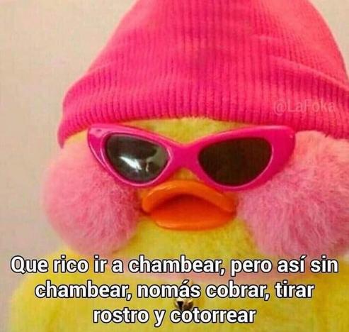un pato con gorro y gafas de sol dice que es muy rico chambear pero así sin chambear, nomás cobrar, tirar rostro y cotorrear