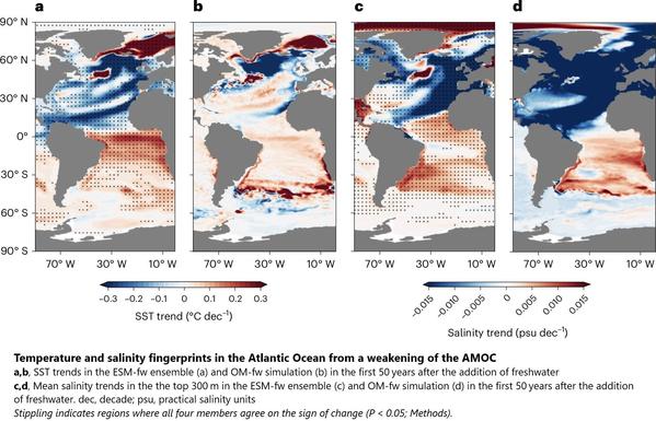 maps - Temperature and salinity fingerprints in the Atlantic Ocean from a weakening of the AMOC