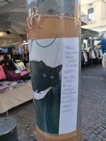 Volantino affisso a un palo, con data 12/11/2024 e testo: "smarrito gatto zona scuola "Cometa" si chiama Happy e ha il pelo lungo chi lo vedesse per favore contatti 3518389873 grazie Serena". C'è anche la foto del micio, nero con occhi verdi chiari o gialli, in un cestino.