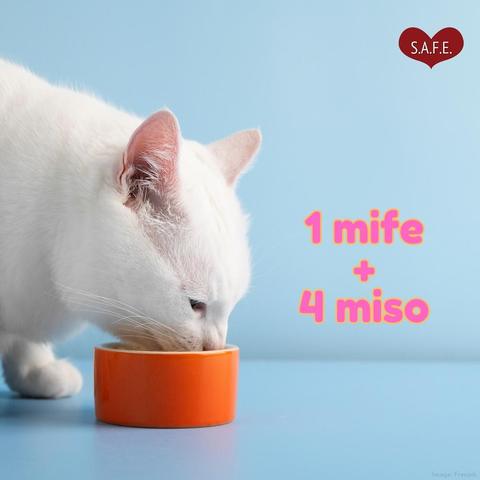 zdjęcie jedzącego kotka z podpisem 1 mife + 4 miso
logo czerwone serduszko z białym napisem S.A.F.E