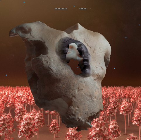 Das Cover der CD zeigt ein seltsames Gebilde, bei dem man erst auf den zweiten Blick erkennt, dass es ein Torso ist, der über einem roten Wald von Bäumen schwebt.