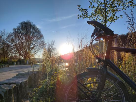 Gegenlichtaufnahme: Fahrrad vor Uferbegrünung am Hengsteysee