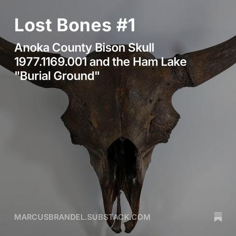 https://open.substack.com/pub/marcusbrandel/p/lost-bones-1