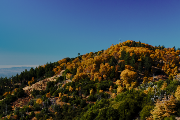 A photograph of a mountain peak, covered in green pines and live oaks, orange-yellow oaks, and a few white skeletons of dead trees. A road snakes its way through the trees, and at the peak, under a sky so blue it's almost purple, there is a radio mast covered in antennas and waveguides.

In the distance, another, shorter mountain is visible, a long ridge against a single white strip of cloud.