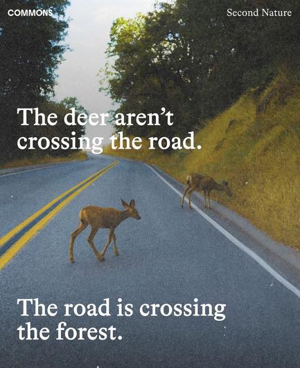 The deer aren't crossing the the road. 
The road is crossing the forest.