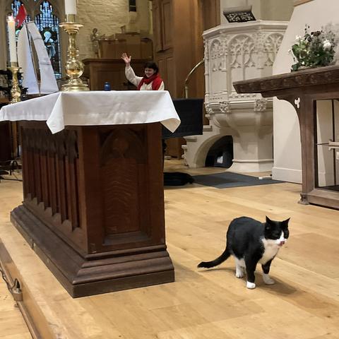 Black and white cat walking past the altar with a singer ger in mid song behind him
