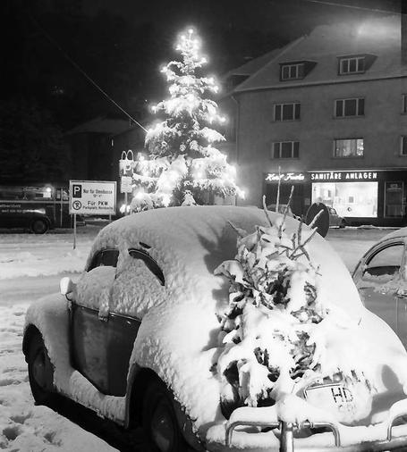 Eingeschneiter VW Käfer VW mit Tannenbaum auf Gepäckträger vor Weihnachtsbaum.