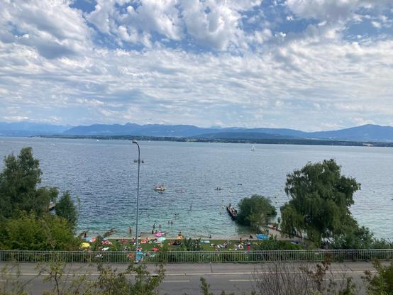 The Marine Iguanas at Nyon Plage