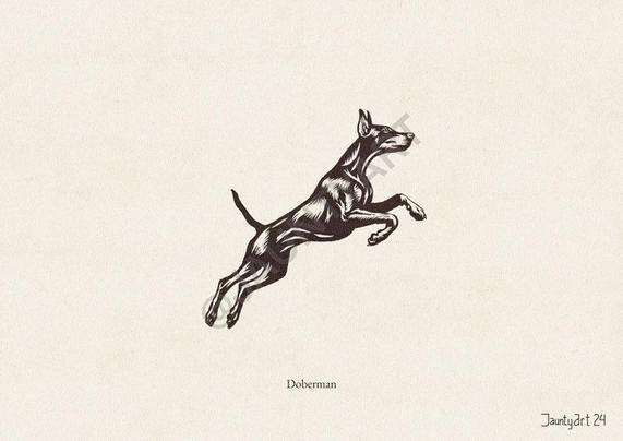 An illustration of a Doberman jumping up and to the right
Text reads “Doberman”