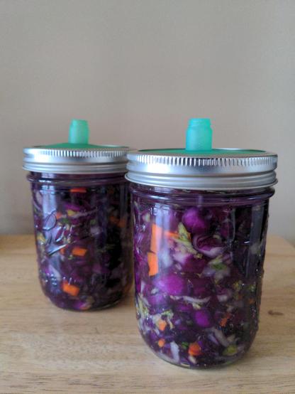 Two wide mouth pint jars filled with carrots, Napa cabbage, red cabbage, garlic, and white onion prepared to ferment with silicone air lock fitted to top of jar