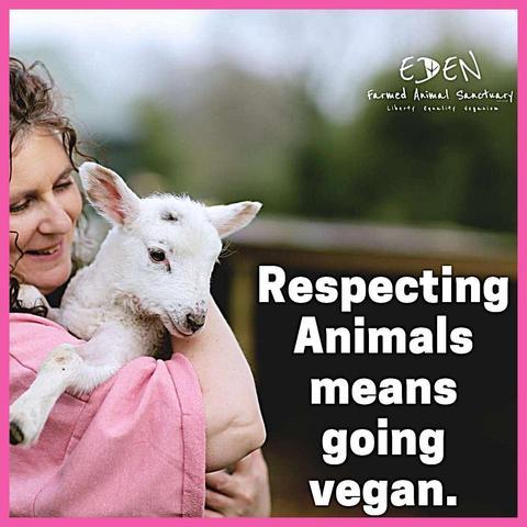 Respecting animals means going vegan.