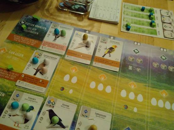 Schräge Nahaufnahme meines Spieltableaus bei „Flügelschlag“. Dieses teilt sich in mehrere Zeilen und Spalten mit großen Feldern. Sieben sind mit Vogelkarten bedeckt, teilweise stehen darauf kleine, einfarbig-bunte Holzeier. das Tableau ist komplett illustriert, obere Zeile Wald, Mitte Graslandschaft, unten Wasser. Auf den Karten sind illustrierte Vögel auf weißem Hintergrund abgebildet. Oben stehen deren Namen, links Eigenschaften, unten Aktions- und Bonusmöglichkeiten.