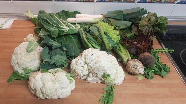 Contenido de la cesta de la semana sobre una encimera de cocina.
Al fondo hay unas hojas de berza asa de cántaro y sobre ellas unos puerros.
Debajo un romanesco, coliflores y medias coliflores. Y entre ellas dos mini brócolis.
A la derecha, un nabo, remolachas y hojas de rúcula.