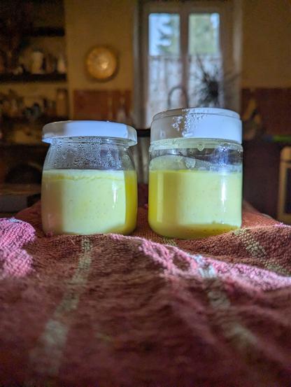 Non-brains in a jar style yogurt.