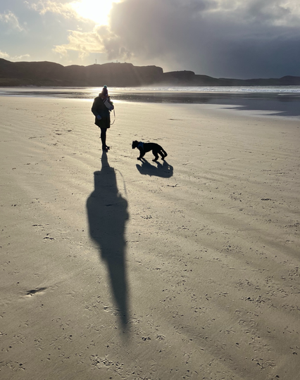 Silhouette of walker and dog. On the beach.