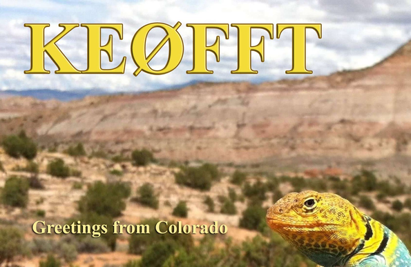 A QSL card showing a yellow collared lizard in the foreground and the Colorado National Monument in the background.