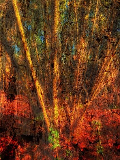 A splay of golden shots radiate against a background of renaissance ochres and burnt siennas. With rare highlights of aquamarine.
