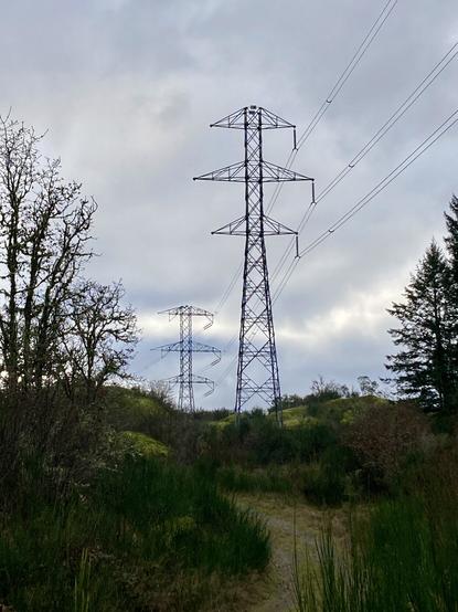 A couple of high voltage towers with a trail going to them. Greenery around.
