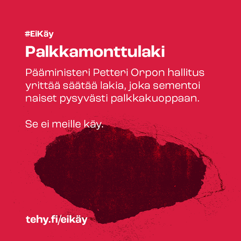 Palkkamonttulaki ei käy.