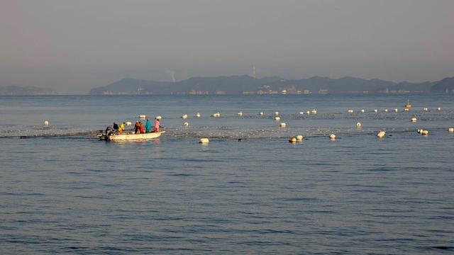 A small boat with people in colorful fishing attire (the kind you wear on a fishing boat, not with a fishing pole) taking care of the nets that are laid over the sea and where the nori (laver) grows. There are also a bunch of white buoys, and Naoshima in the background.