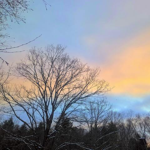 Clouds tinted by sunrise over bare trees dusted with snow