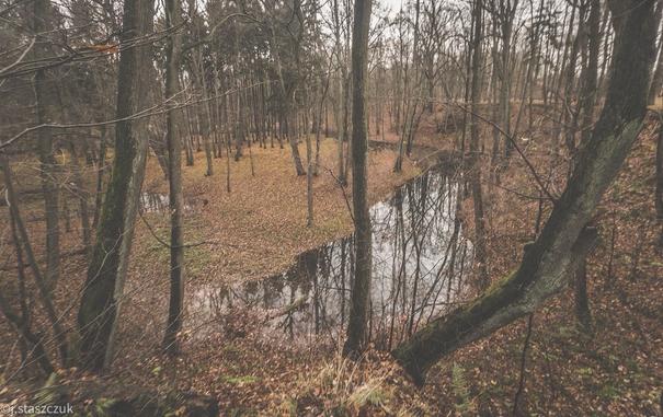 Spokojna leśna scena przedstawia nagołe drzewa i opadłe liście otaczające spokojny, odblaskowy strumień. Atmosfera jest pochmurna, co wskazuje na jesień.