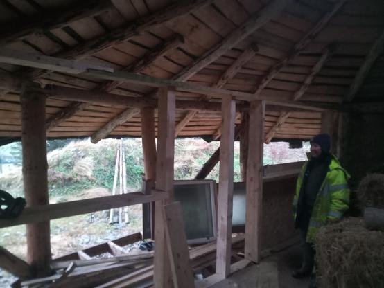 Framing of the stud wall complete except for short studs below the window openings, and a couple of dwangs. The picture is looking north west from inside the house and shows most of the framing, with a door opening in the centre  and large window openings on either side of it. Through the frame you can see the underside of the roof, and what will become an area of roofed decking.