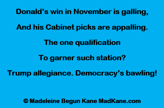 Donald’s win in November is galling,     
And his Cabinet picks are appalling.     
The one qualification     
To garner such station?     
Trump allegiance. Democracy’s bawling!     

 © Madeleine Begun Kane MadKane.com
