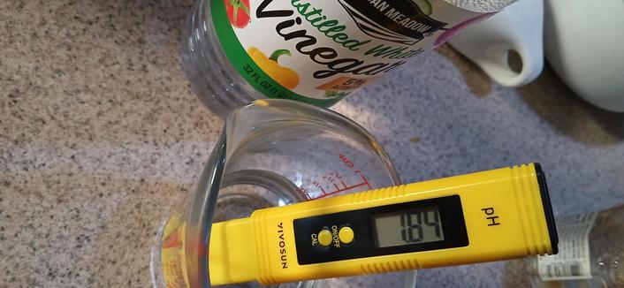 A pH meter reading 1.84 pH, resting in clear fluid in a Pyrex measuring cup, next to a bottle labeled Urban Meadow distilled wine vinegar.