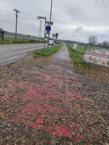 Laub auf einer Radwegekreuzung an einer Landstraße. Rote Farbe darunter