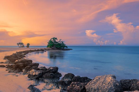 photo - shoreline, Florida Keys, USA