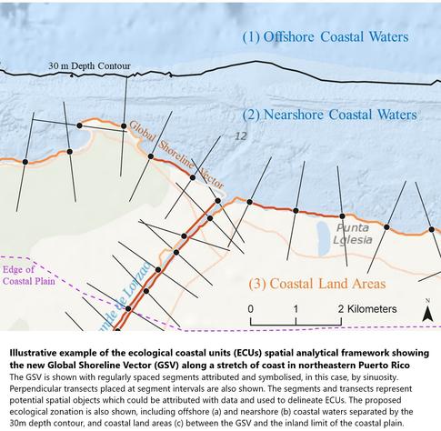 annonated map - Illustrative example of the ecological coastal units (ECUs) spatial analytical framework showing the new Global Shoreline Vector (GSV) along a stretch of coast in northeastern Puerto Rico. The GSV is shown with regularly spaced segments attributed and symbolised, in this case, by sinuosity. Perpendicular transects placed at segment intervals are also shown. The segments and transects represent potential spatial objects which could be attributed with data and used to delineate ECUs. The proposed ecological zonation is also shown, including offshore (a) and nearshore (b) coastal waters separated by the 30 m depth contour, and coastal land areas (c) between the GSV and the inland limit of the coastal plain.