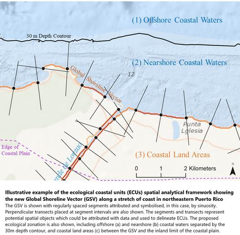 annonated map -  Illustrative example of the ecological coastal units (ECUs) spatial analytical framework showing the new Global Shoreline Vector (GSV) along a stretch of coast in northeastern Puerto Rico. The GSV is shown with regularly spaced segments attributed and symbolised, in this case, by sinuosity. Perpendicular transects placed at segment intervals are also shown. The segments and transects represent potential spatial objects which could be attributed with data and used to delineate ECUs. The proposed ecological zonation is also shown, including offshore (a) and nearshore (b) coastal waters separated by the 30 m depth contour, and coastal land areas (c) between the GSV and the inland limit of the coastal plain.