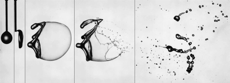 From drop to droplets. A water drop struck by an air jet deforms into a pancake shape before ballooning out into a thick-rimmed bag. Just 9.5 milliseconds after the jet, the bag and rim have broken into a spray of many droplet sizes.