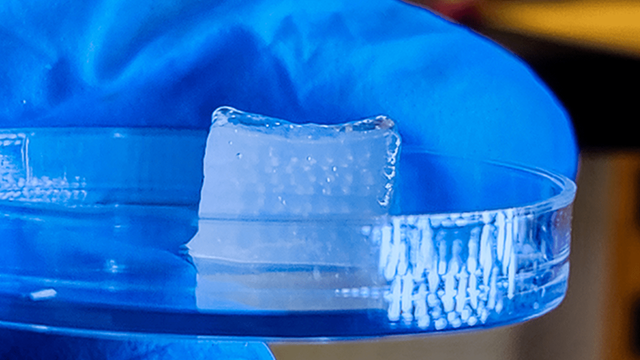 Bioprinting 3D, ora è 10 volte più veloce