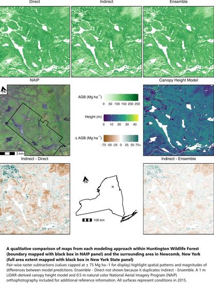 maps - A qualitative comparison of maps from each modeling approach within Huntington Wildlife Forest (boundary mapped with black box in NAIP panel) and the surrounding area in Newcomb, New York (full area extent mapped with black box in New York State panel). Pair-wise raster subtractions (values capped at ± 75 Mg ha−1 for display) highlight spatial patterns and magnitudes of differences between model predictions. Ensemble - Direct not shown because it duplicates Indirect - Ensemble. A 1 m LiDAR-derived canopy height model and 0.5 m natural color National Aerial Imagery Program (NAIP) orthophotography included for additional reference information. All surfaces represent conditions in 2015.